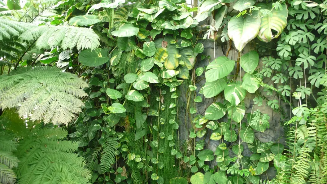 L1030044.webp