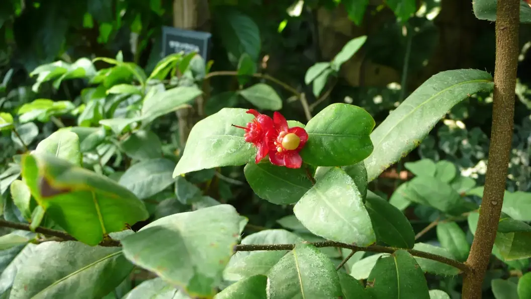 L1030077.webp