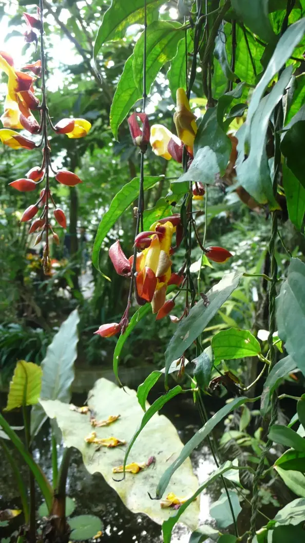 L1030088.webp