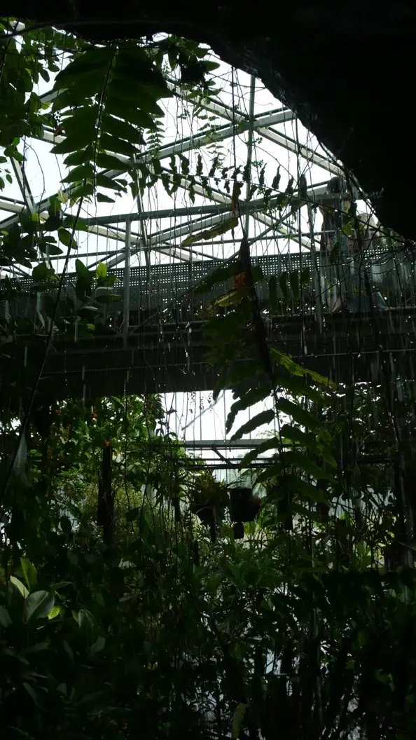 L1030099.webp