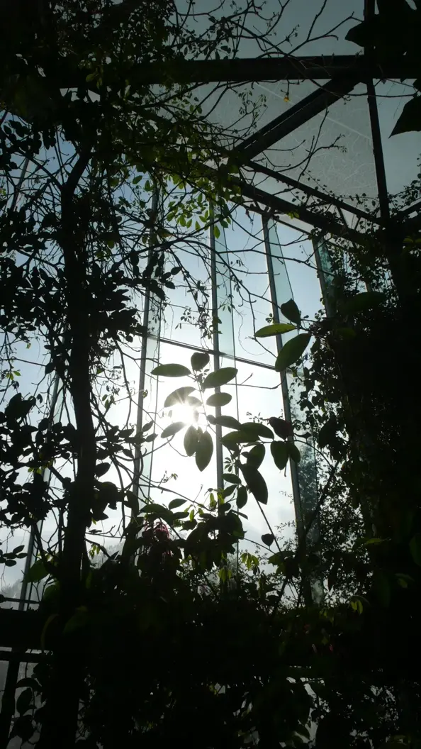 L1030113.webp