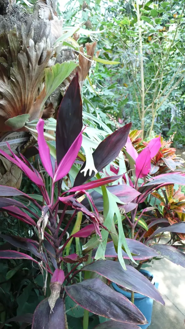 L1030124.webp