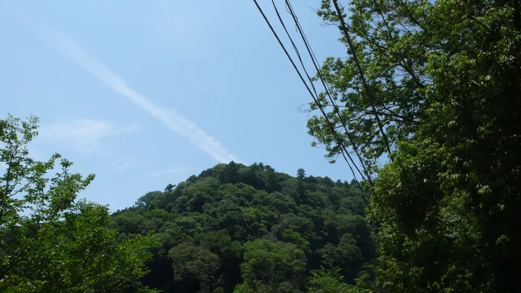 L1030168.webp