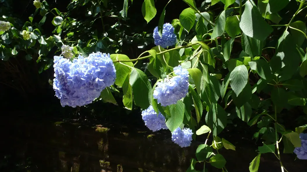 L1030177.webp