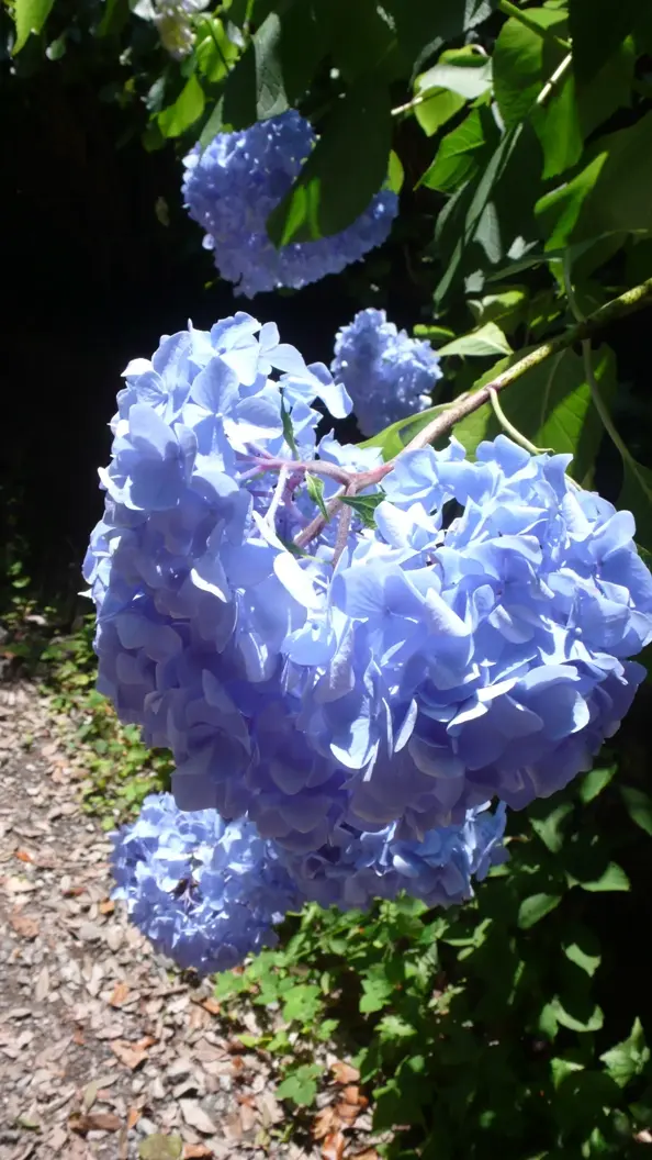 L1030178.webp
