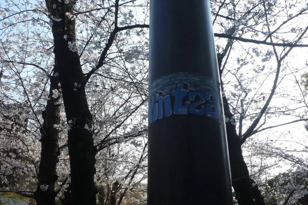 L1030254.webp