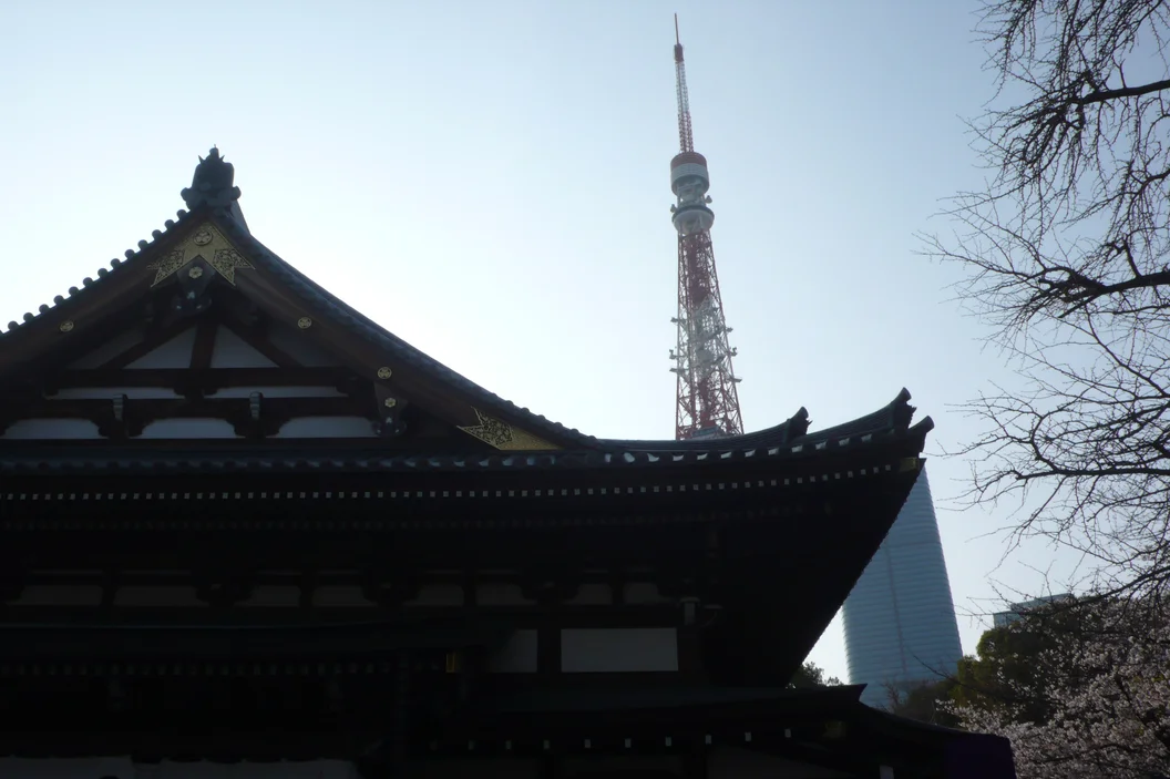 L1030272.webp
