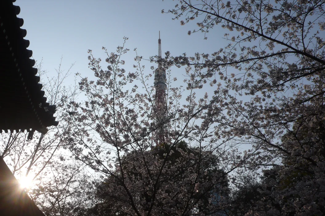 L1030285.webp