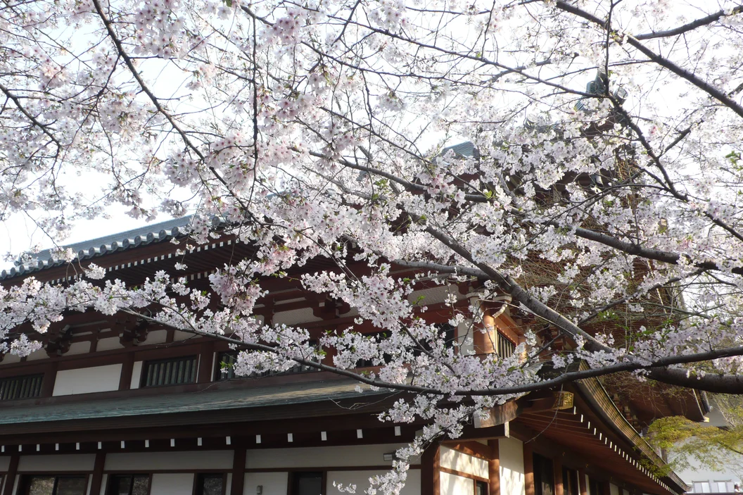 L1030295.webp