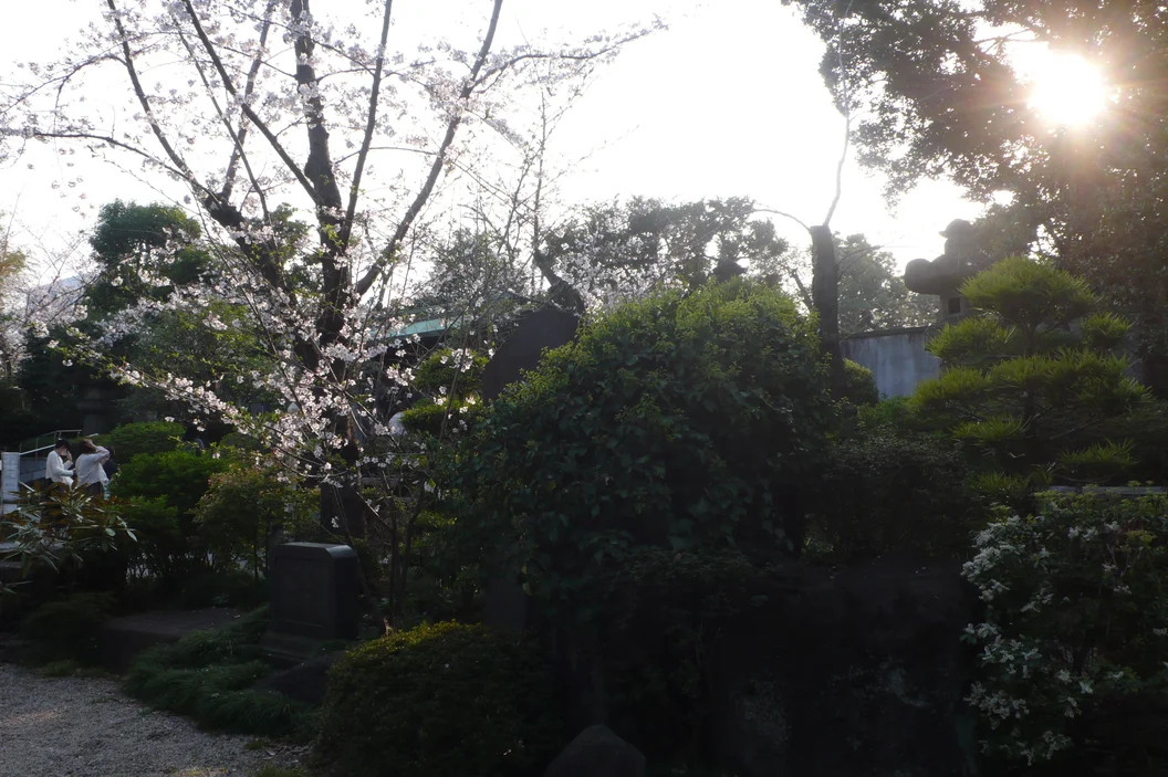 L1030299.webp