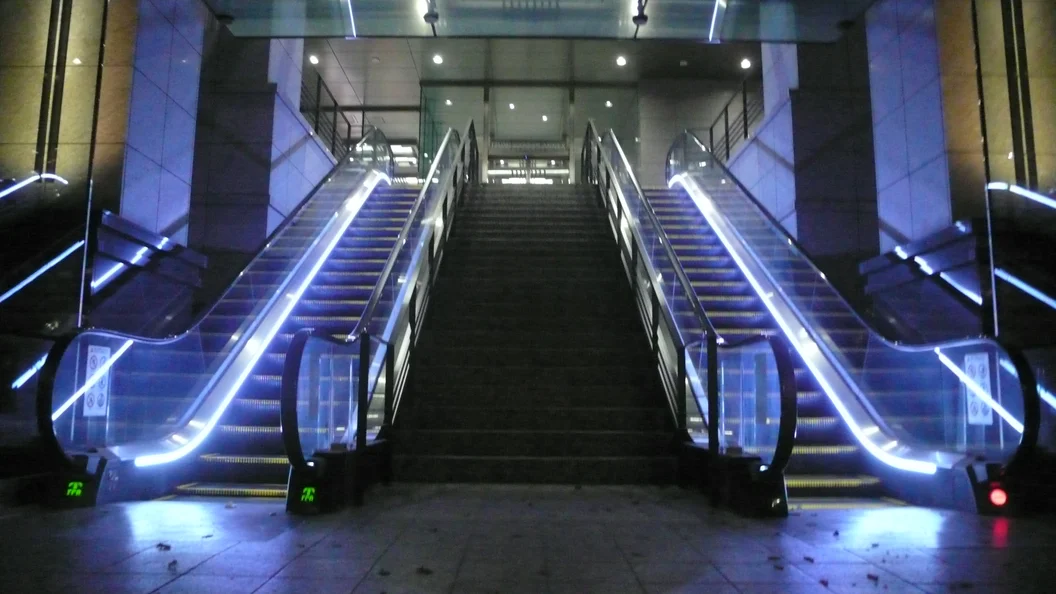 L1030332.webp