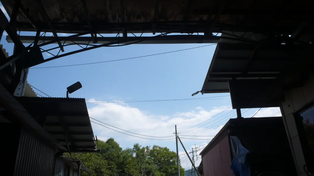 L1030417.webp