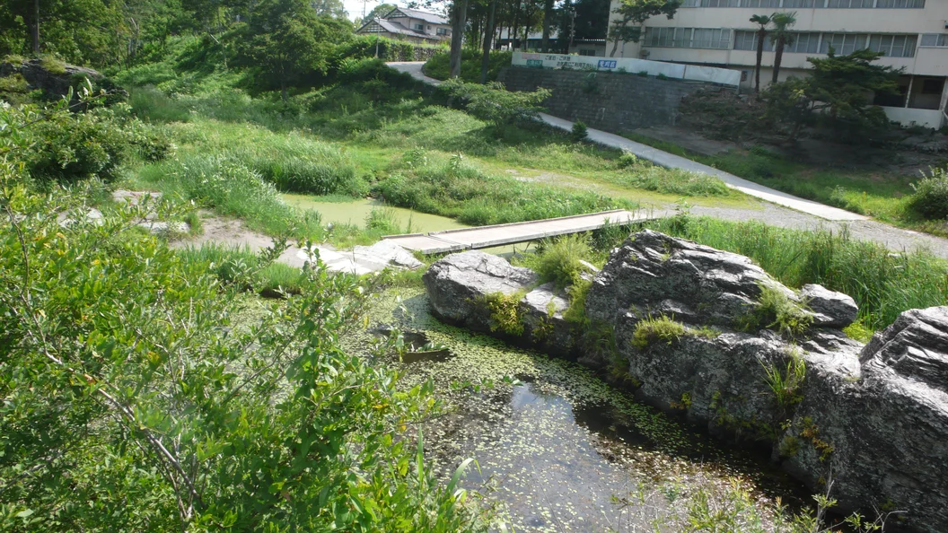 L1030426.webp