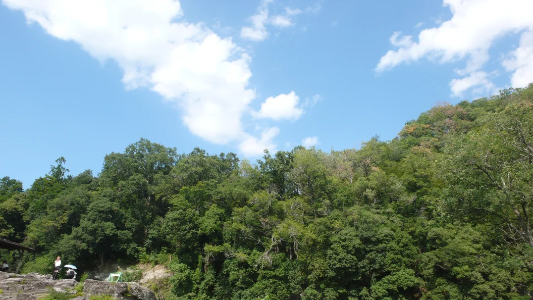 L1030427.webp