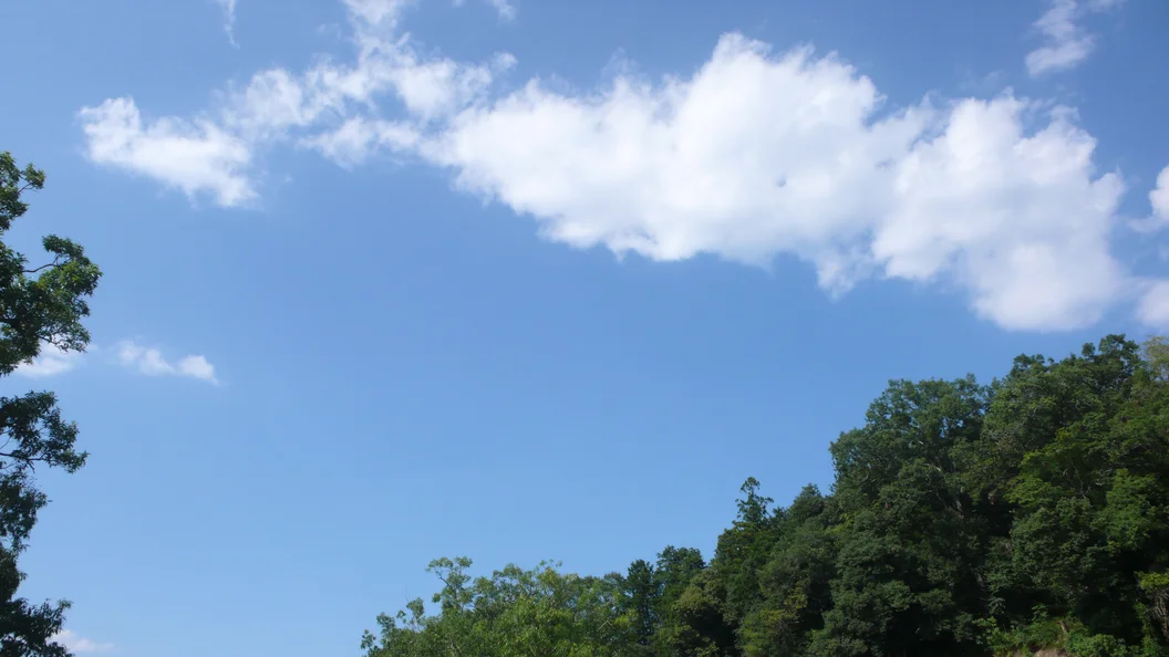 L1030428.webp