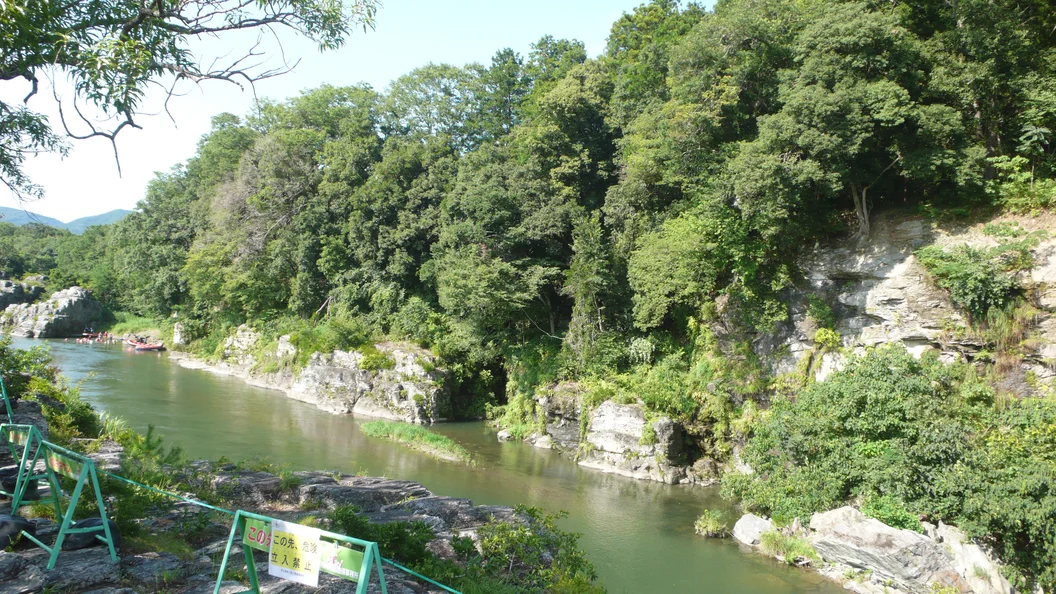 L1030429.webp