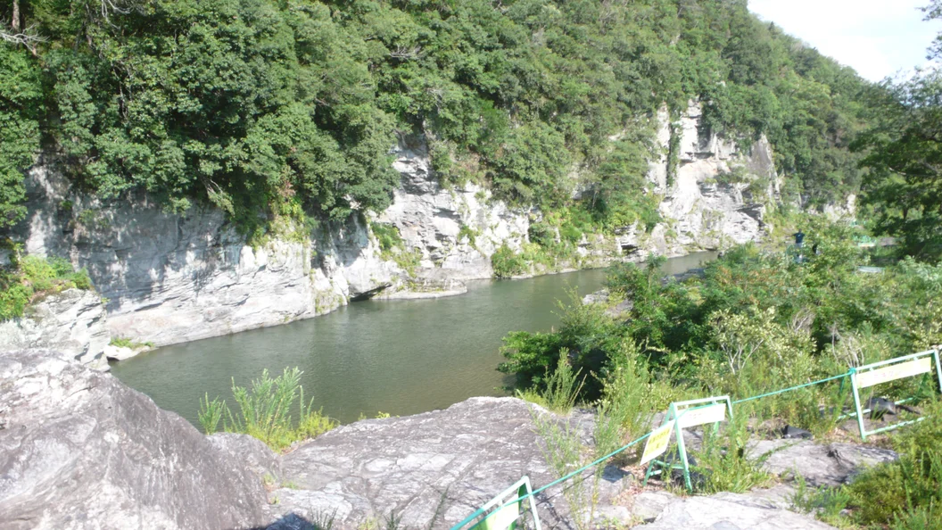L1030430.webp