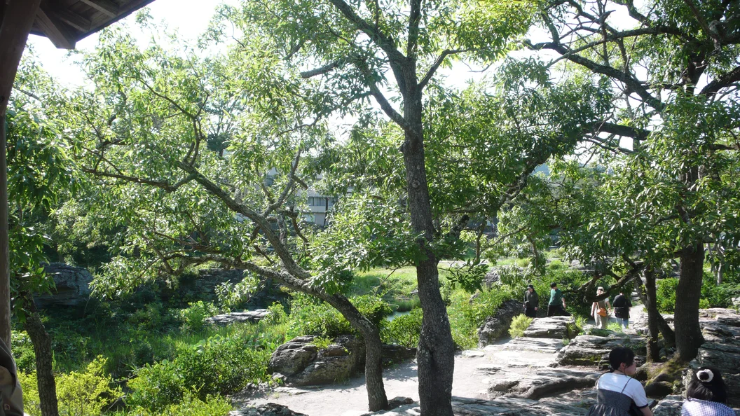L1030431.webp